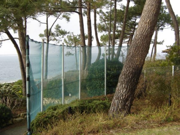 Barrière de protection anti-emruns au Cap Ferret