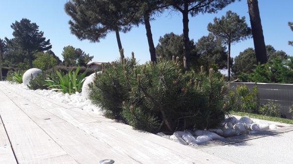 Création de jardin paysager au Cap Ferret (33)