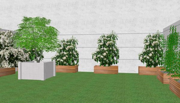 Elévation du projet en 3D avant réalisation d'un jardin à Arcachon (33)