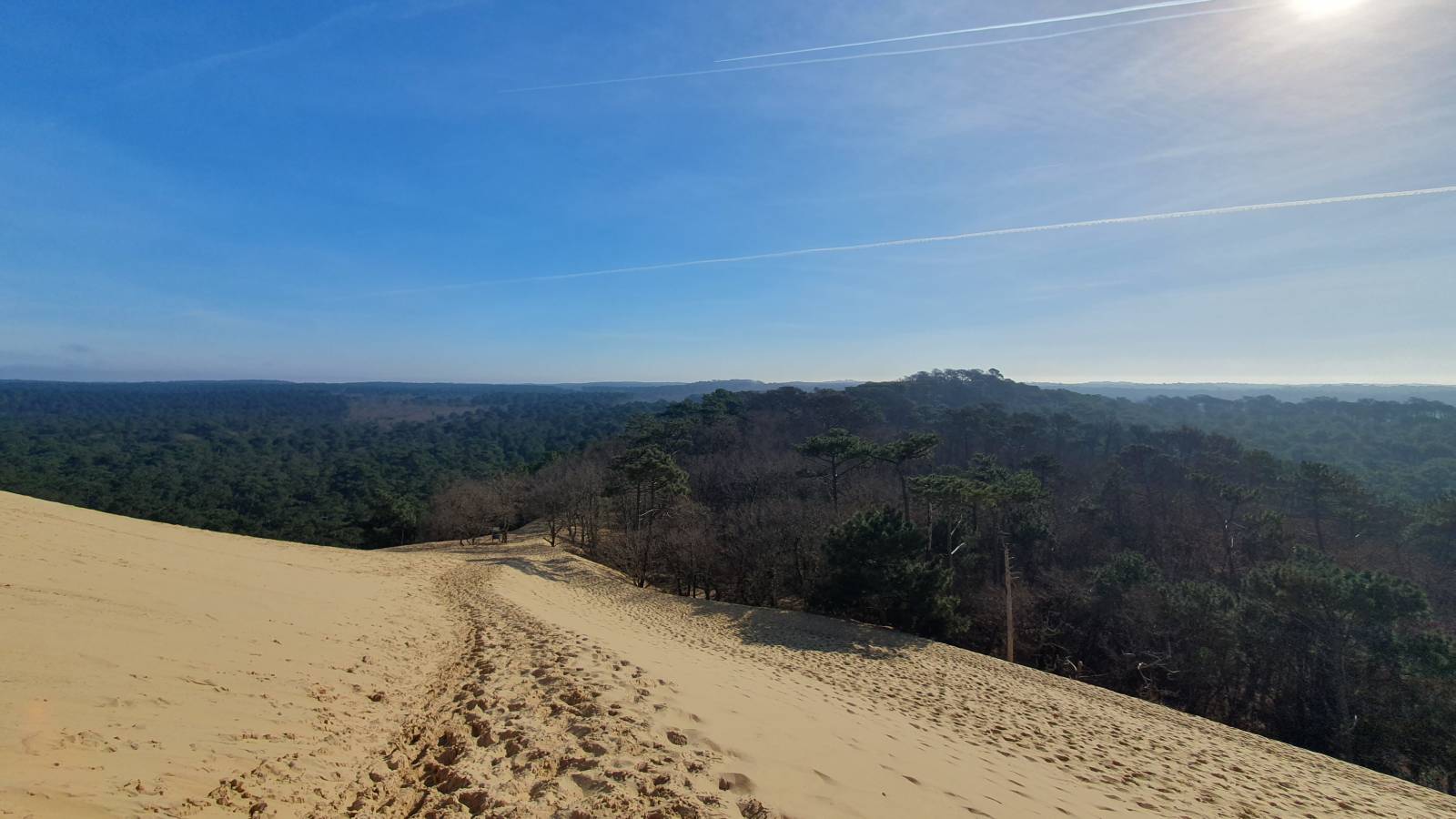 aménagement de jardins sur mesure à l'année sur le bassin d'Arcachon