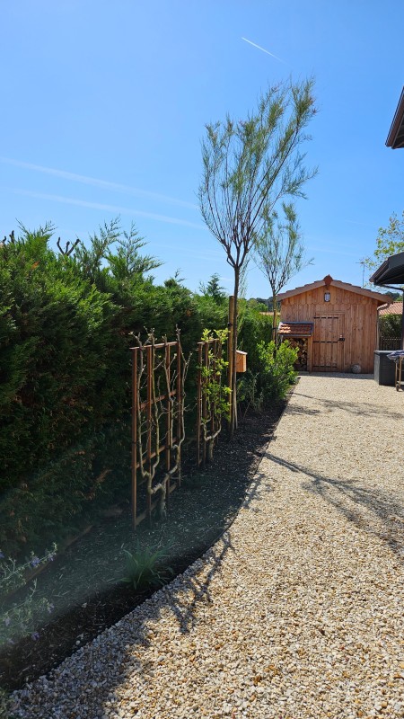 Plantation d'Arbres à la teste de buch 