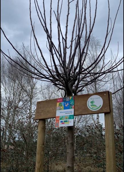 Plantation d'un pommier à MARCHEPRIME 33