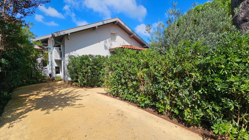 Plantation à LA TESTE DE BUCH