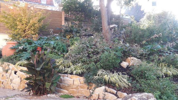 Talus végétalisé à Arcachon (33)