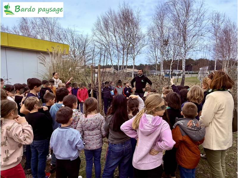 une école, un arbre à MARCHEPRIME 33