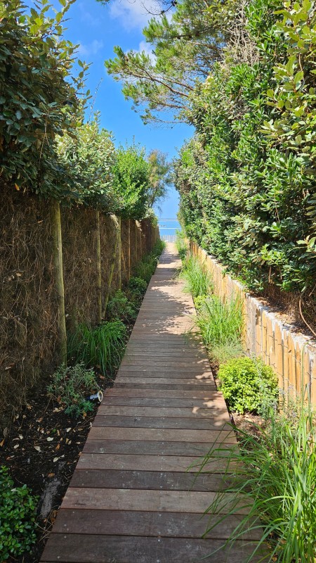 Aménagement bois jardin bassin d'Arcachon 