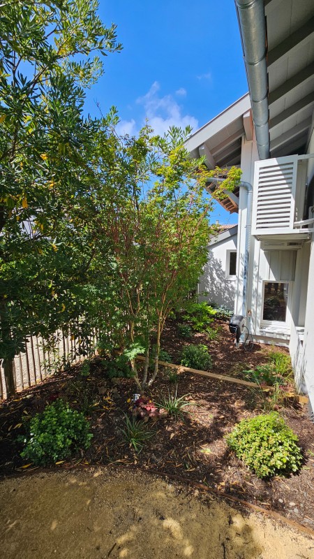 Plantations sur le Bassin d'Arcachon 