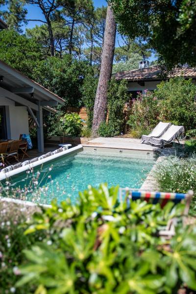 Aménagement d'un tour de piscine en bois avec plantations à Arcachon (33)
