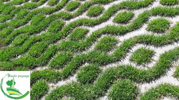Création d'un parking en pacés engazonné à Arcachon (33)