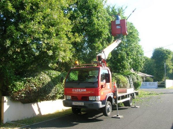 Taille d'arbres d'ornements au Pyla sur mer (33)