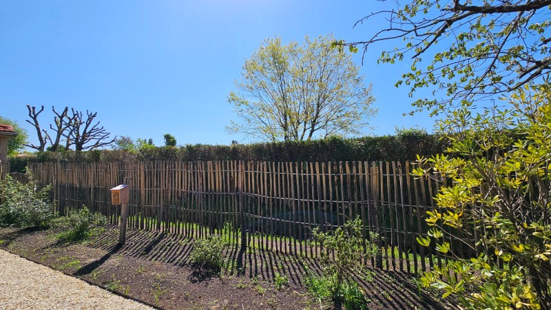 Plantations de plantes arbres, arbustes et vivaces 