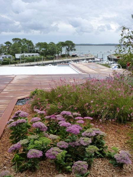 Création d'une terrasse bois au Cap Ferret
