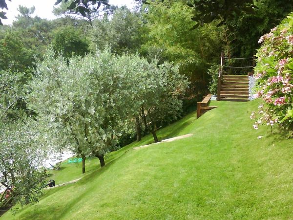 Engazonnement d'un jardin en pente au Pila sur mer (33)