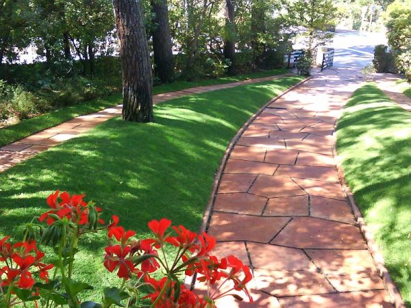 Engazonnement par semi à Bordeaux (33)