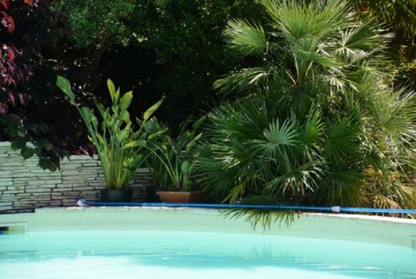 Aménagemant d'un jardin d'ornement à la Teste de Buch (33)