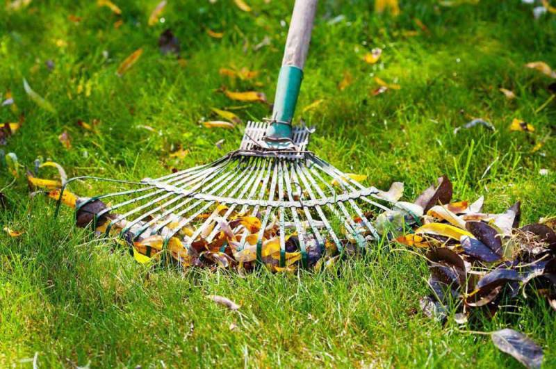 Entretien de pelouses en été sur la bassin d'Arcachon
