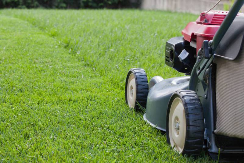 Entretien de pelouses en été sur la bassin d'Arcachon